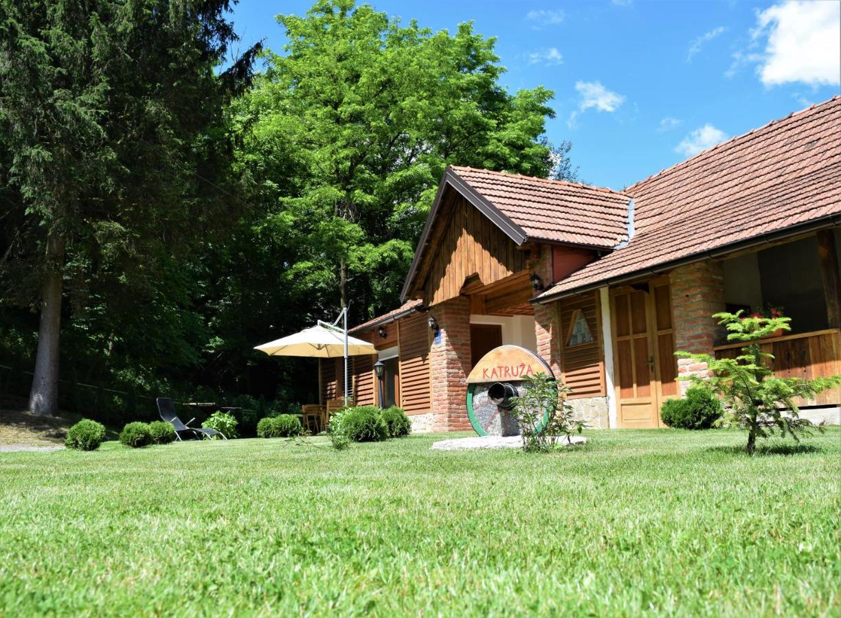Apartmani Katruza Sveti Martin Na Muri Exterior photo